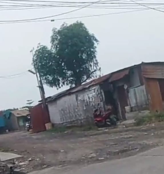 54fb678dd7e74b8d9b1089218e626454