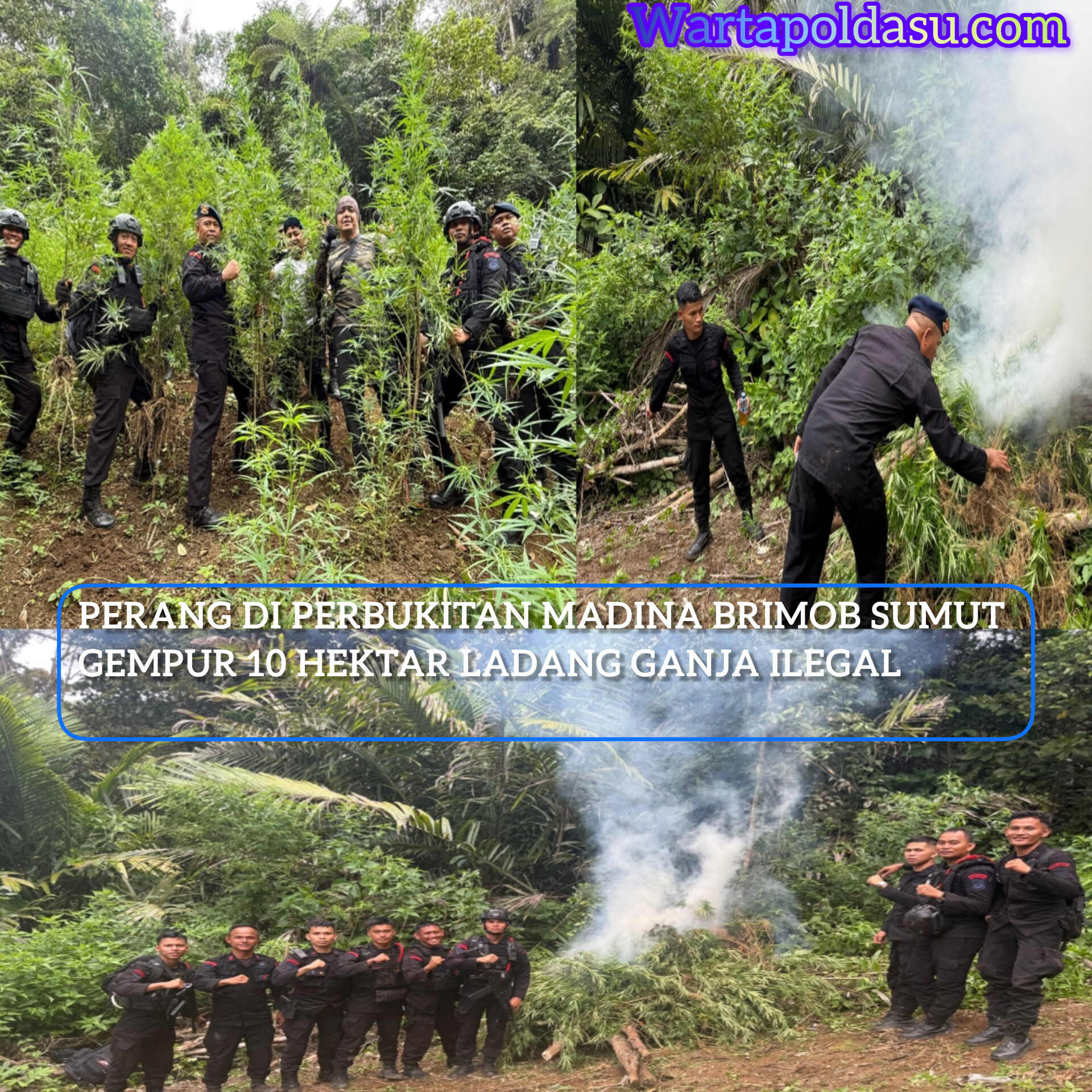 InShot_20251113_133647076