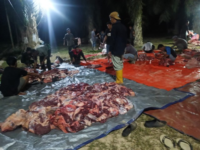 462b2896-ef8c-4e93-bc70-7abd97751e96_20260327_2486264595986152294