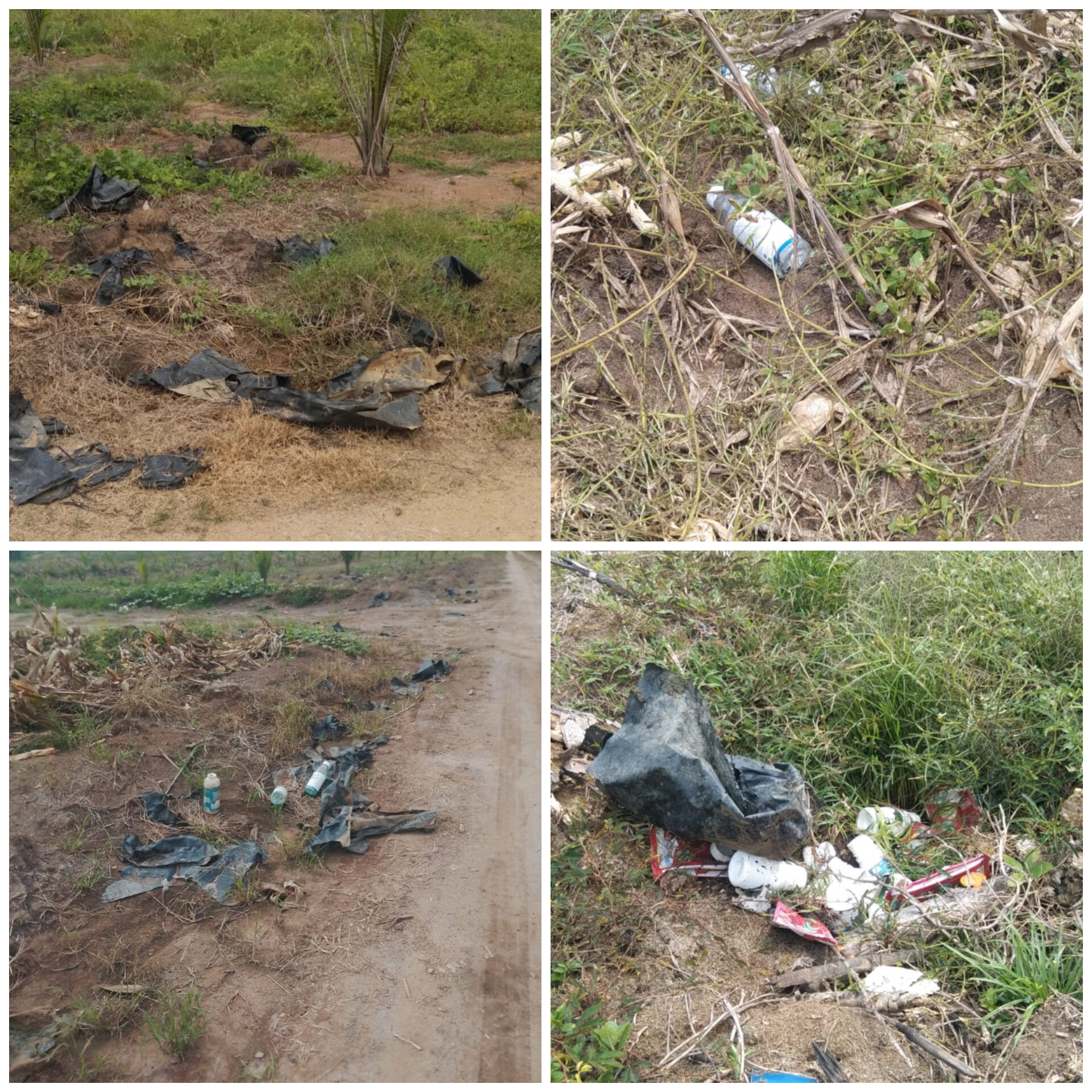 InShot_20260428_165231977