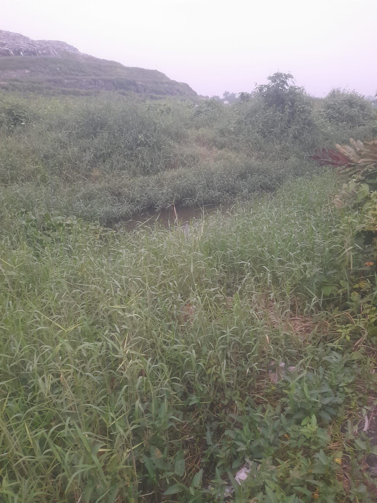 IMG-20261022-WA0127